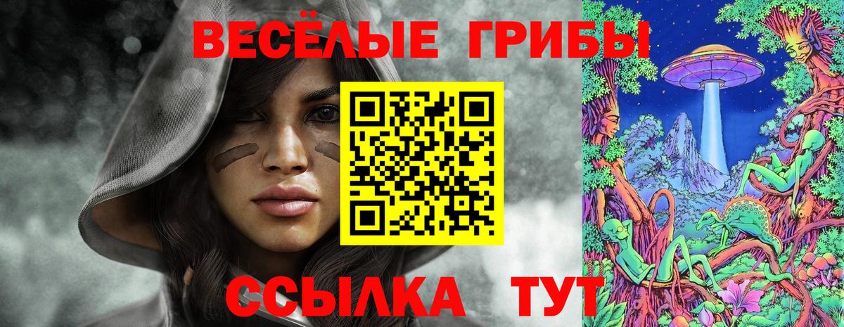Галлюциногенные грибы Psilocybine cubensis  где продают   Псилоцибиновые грибы GOLDEN TEACHER  Кострома  Вход с VPN 