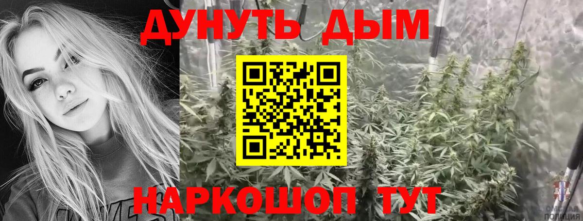 Канабис гибрид Кострома